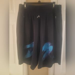 Rare Nike Air Jordan Retro 8 Aqua Fleece Shorts